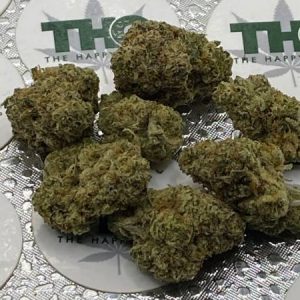 Gelato Auto Flower
