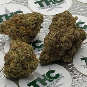 Gorilla Zkittlez Auto Flower